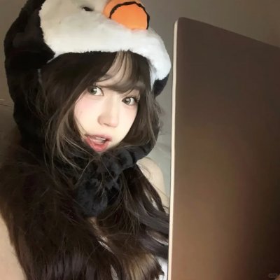 夏绿蒂的网